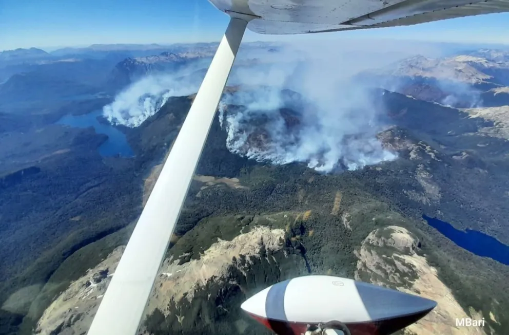 Había mucha vida en 12 mil hectáreas. Foto: Parque Nacional Nahuel Huapi.