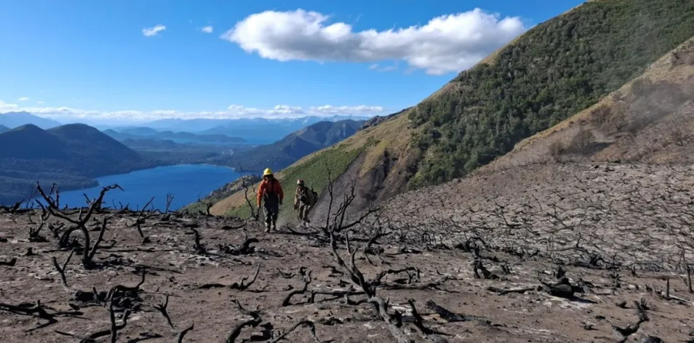 Más de doce mil hectáreas de bosque ya se quemaron. 