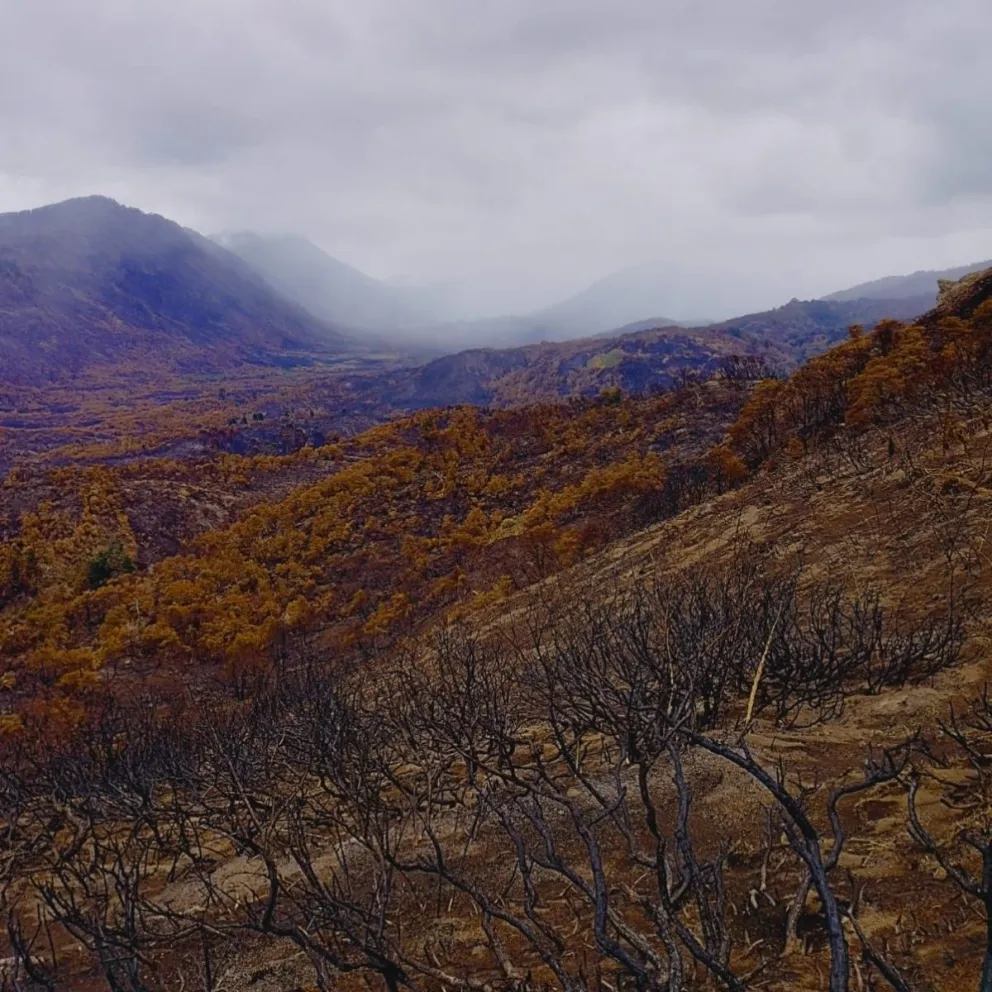 El incendio ya está contenido.