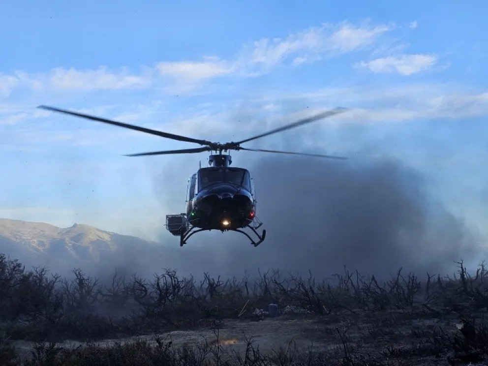 El fuego se desató el pasado 22 de febrero. Hoy confirmaron que fue extinguido. 