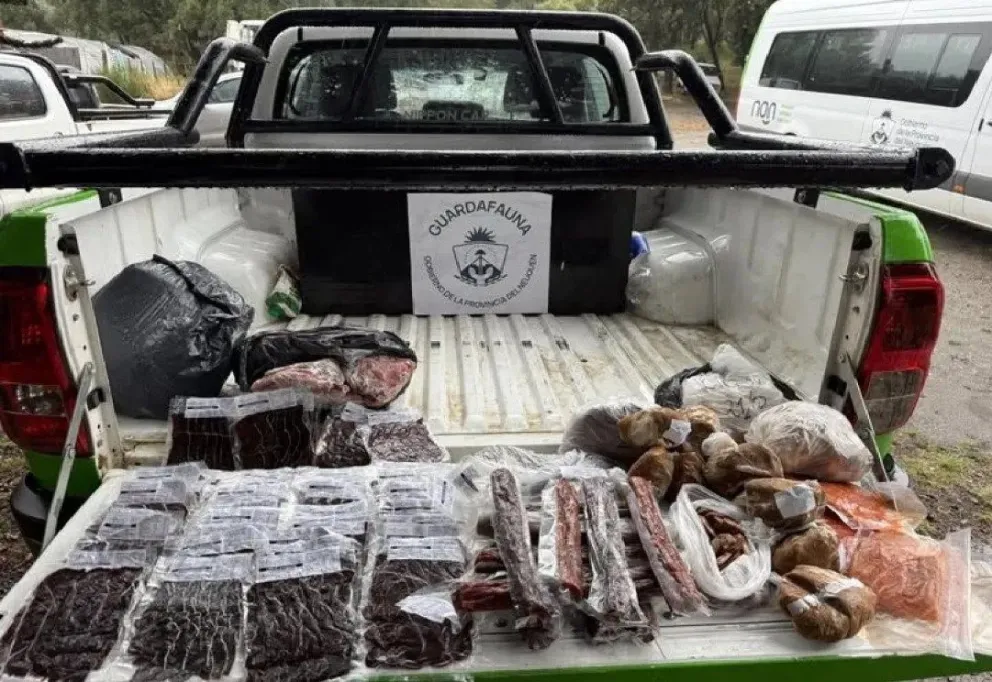 Entre los hallazgos se encontraron ahumados de ciervo y trucha sin rotular, embutidos caseros de ciervo y jabalí