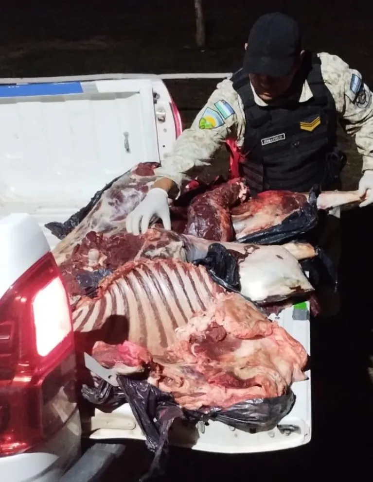 Transportaban más de 50 kilos de carne de ciervo en la caja de la camioneta.