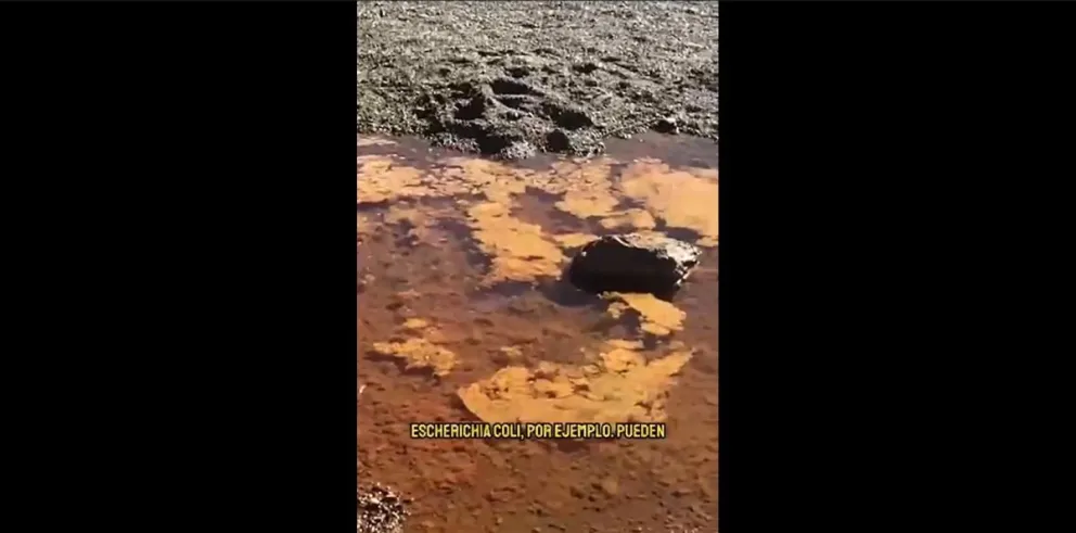 Captura de pantall del video que enviaron los vecinos. 