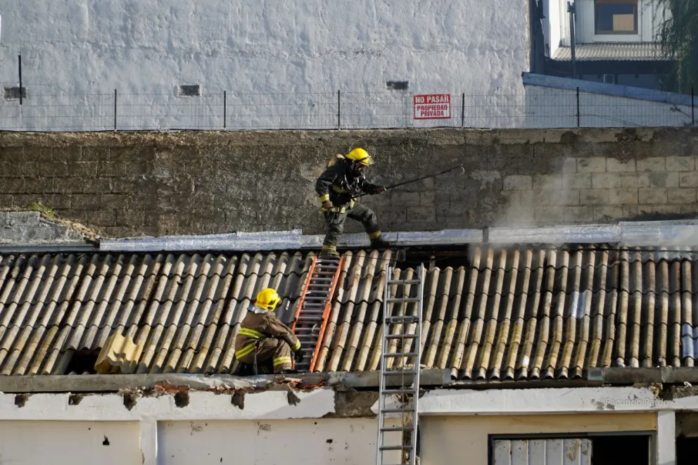 El ataque de los bomberos contra el fuego. (Fotos: Facundo Pardo)
