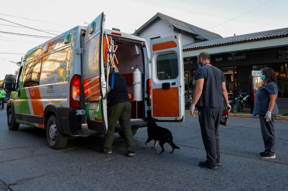 El perro no quiso abandonar a su amigo en ningún momento. (Fotos: Euge Neme)