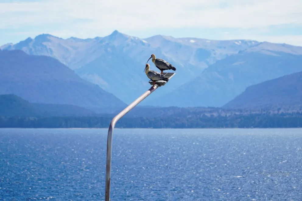 La máxima de este miércoles alcanzará los 17°. Foto de Facundo Pardo.