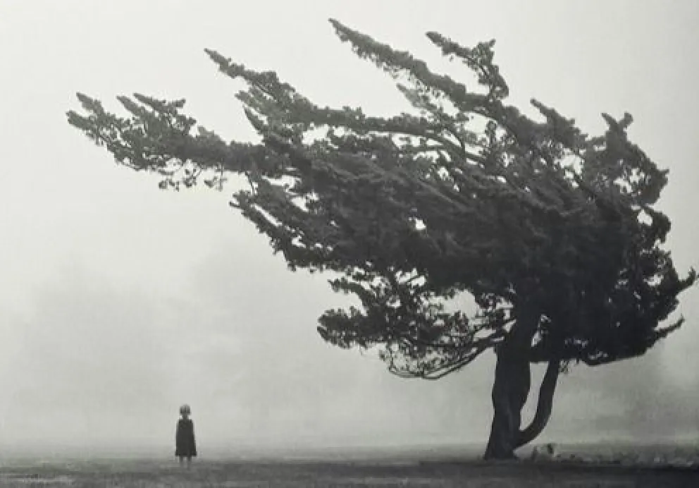 Alientan la escritura de historias misteriosas en Patagonia.