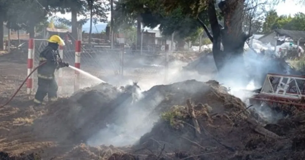 Lograron contener el avance del fuego. 