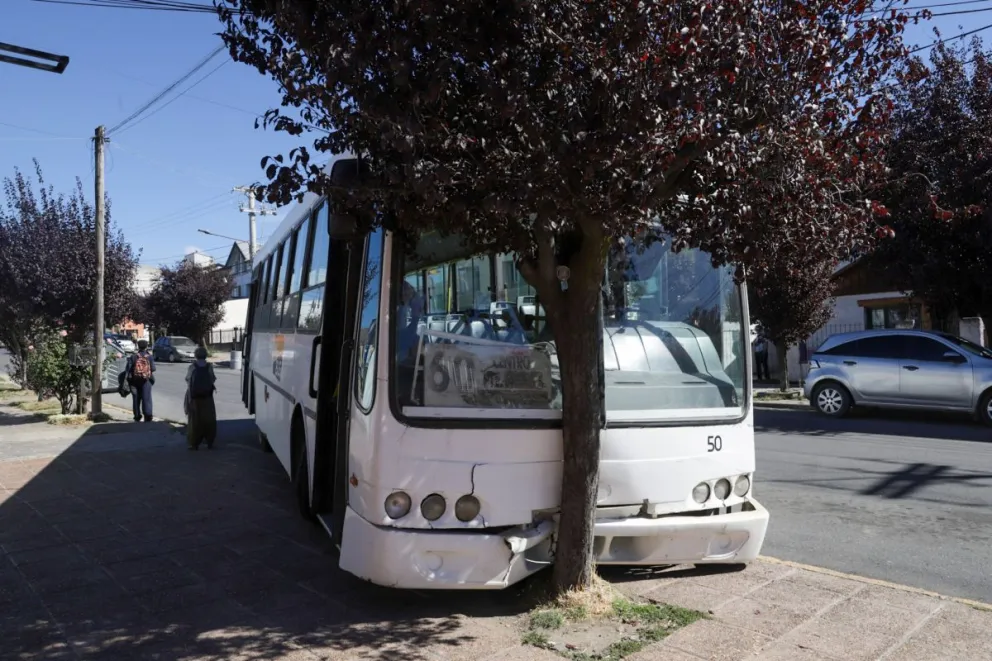 Una vecina alcanzó a esquivar el impacto del colectivo (fotos: gentileza y euge neme)