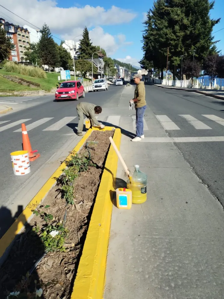 Trabajos necesarios para embellecer la ciudad. 