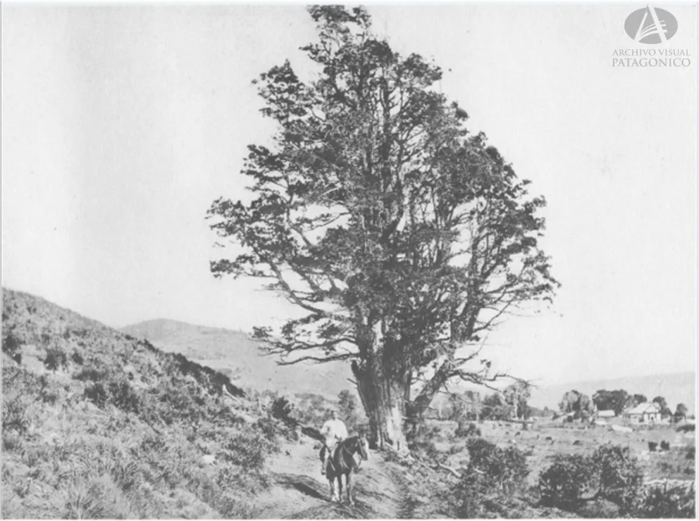 Bariloche en 1902, como la viera el padre Zacarías. Archivo Visual Patagónico.