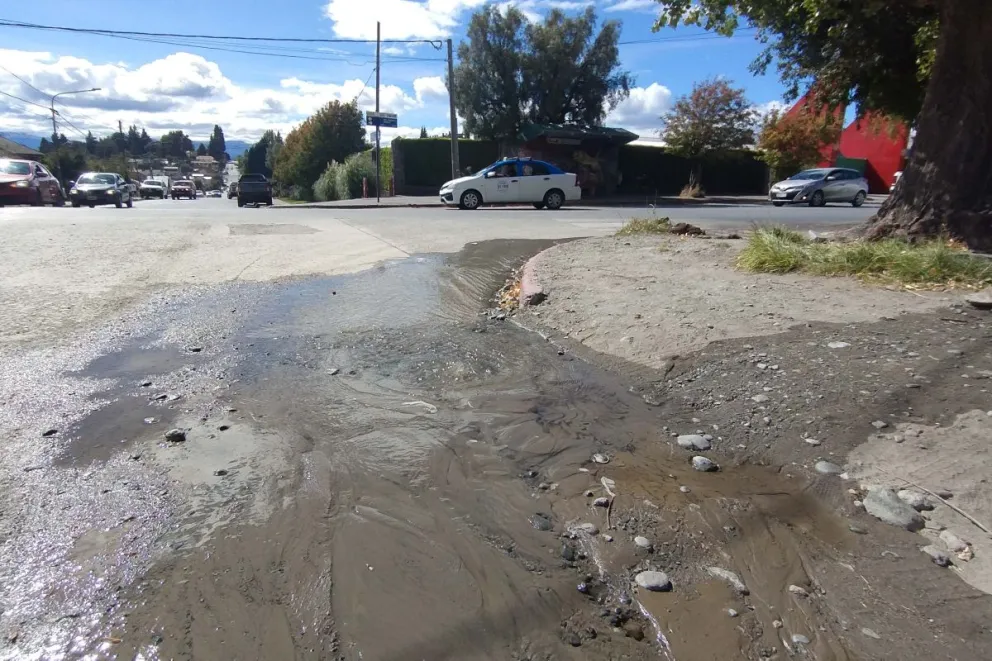 Desde el mediodía que brota agua a granel (foto: Facundo Pardo) 
