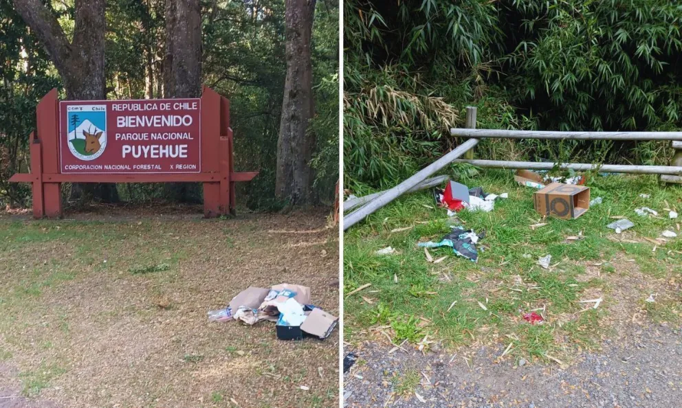 La preocupante problemática que afecta al Parque Puyehue.
