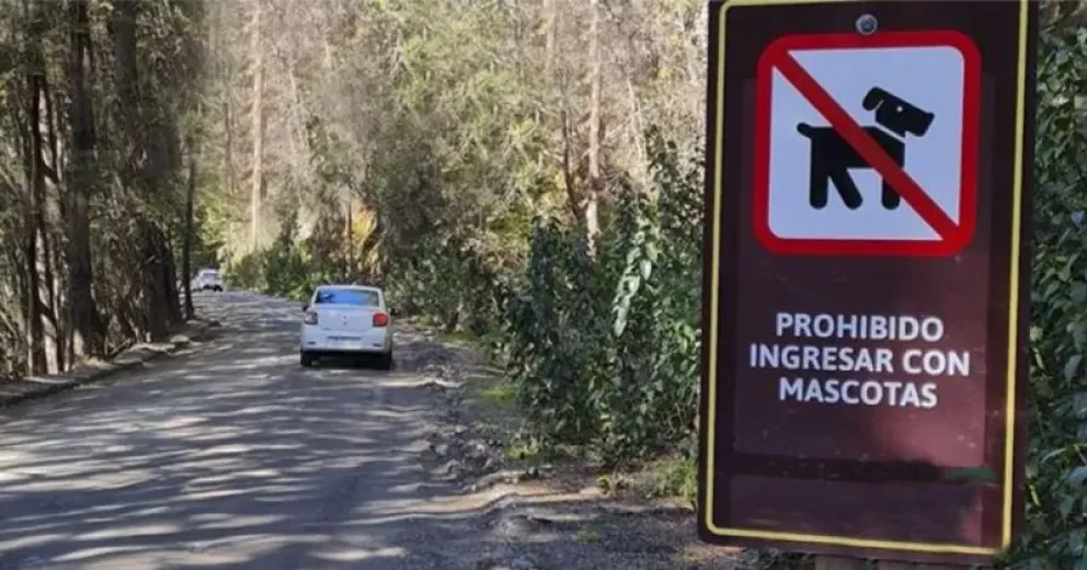 Pueden afectar a la fauna nativa y al ambiente.