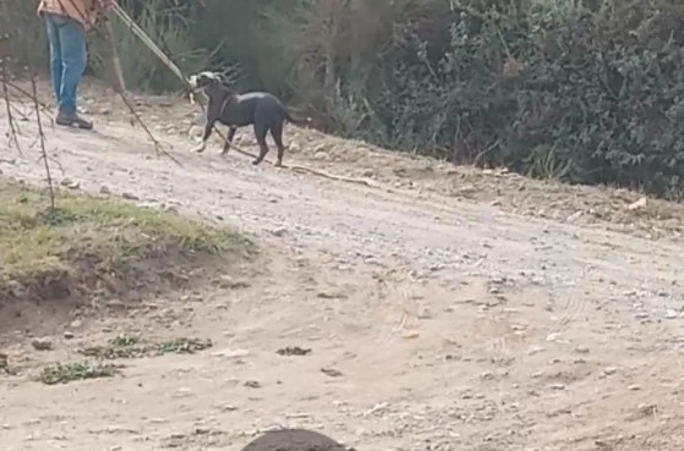 Preocupación por los ataques en el barrio más grande de Bariloche 