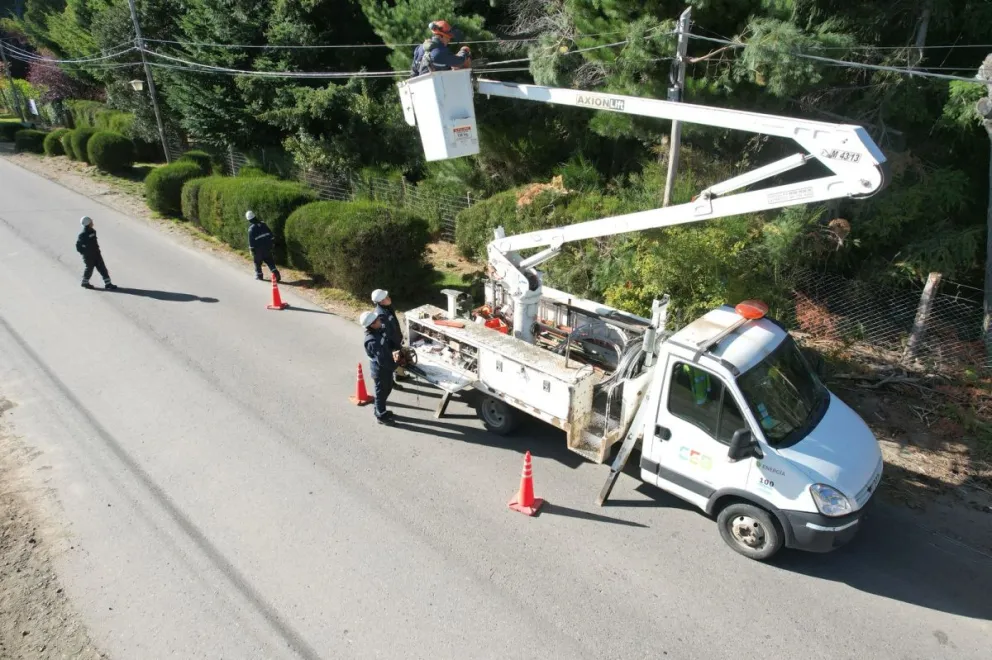 Las tareas que vienen realizando.