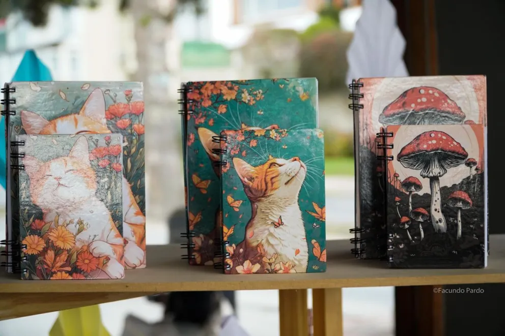 Una alternativa distinta (fotos: Facundo Pardo).