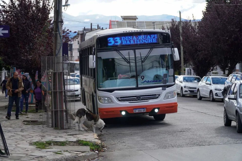 La línea 33 ajusta sus valores para los tramos que conectan Bariloche- Dina Huapi - Ñirihuau. Foto: Facundo Pardo