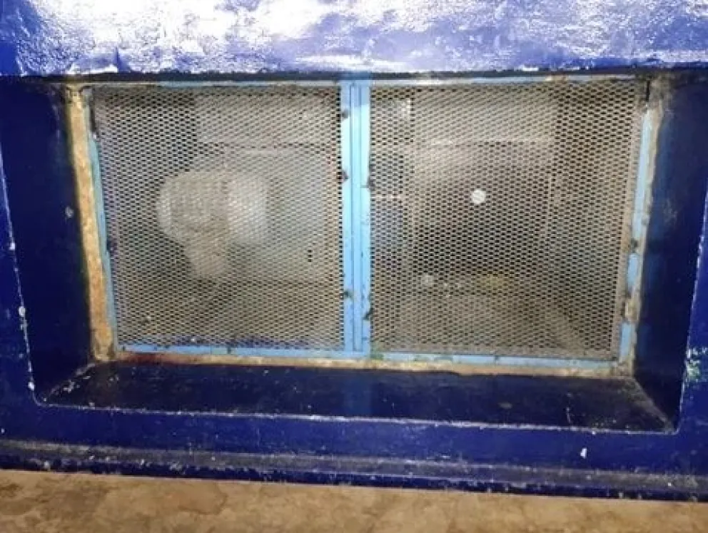 La denuncia fue radicada en la comisaría de Cholila.