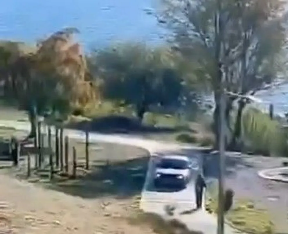 El video se viralizó en redes y generó sorpresa entre los vecinos.