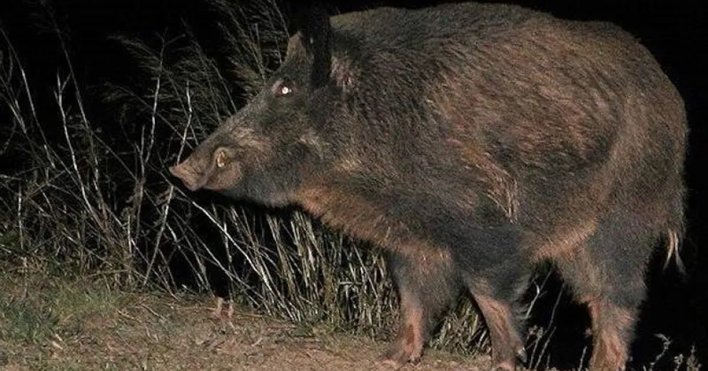 Un tema que preocupa.