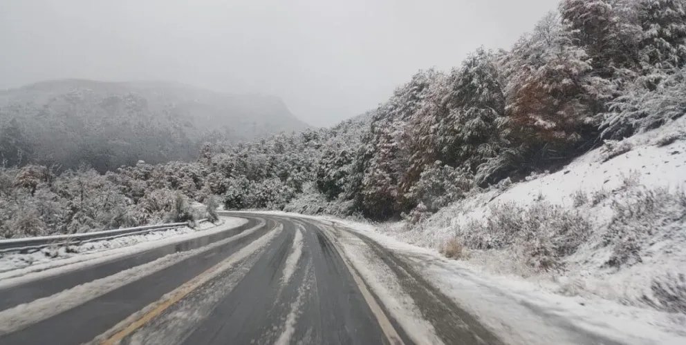 Así está la Ruta 40 camino a El Bolsón 