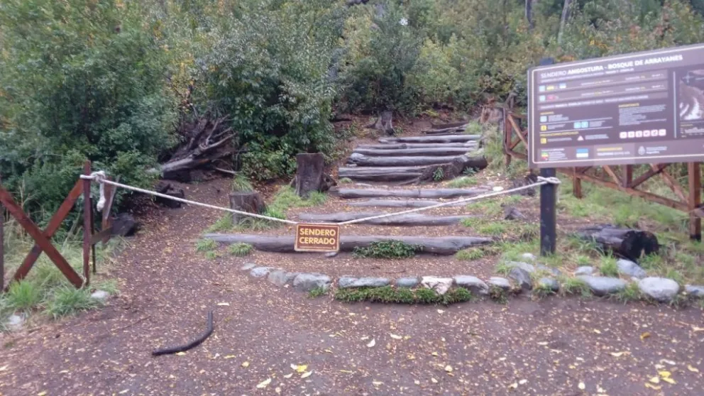 Solicitan informarse sobre las condiciones meteorológicas antes de planificar una salida.