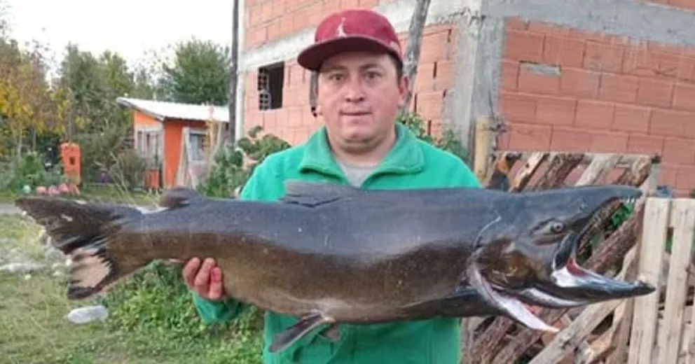 El pescador sorprendido por la presa que logró sacar. Foto Infochucao.