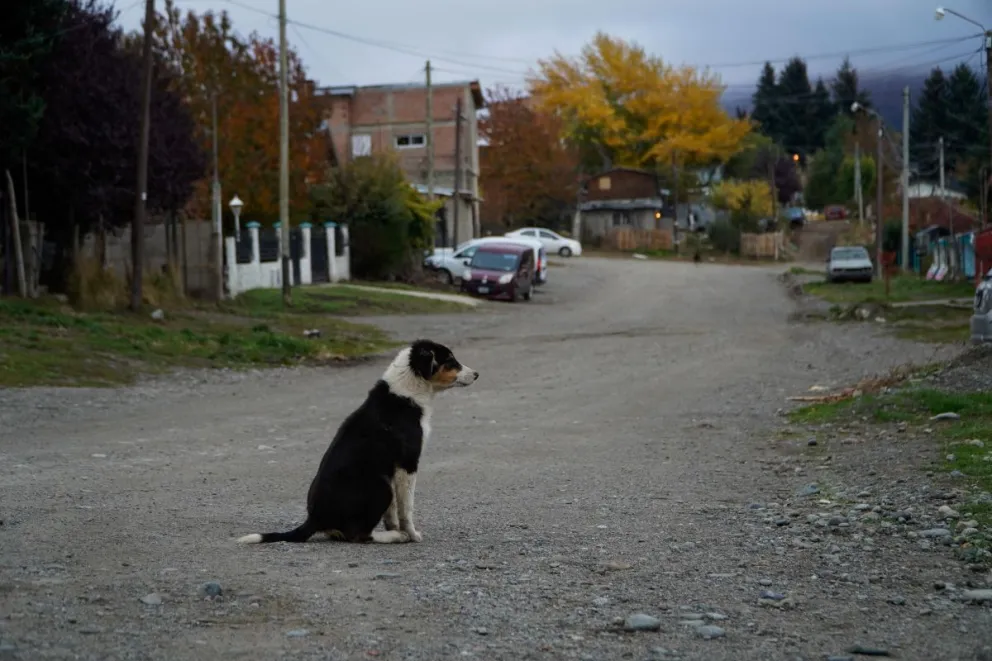 Un año con distintos problemas que preocuparon a los vecinos de la ciudad / Foto: Facundo Pardo 