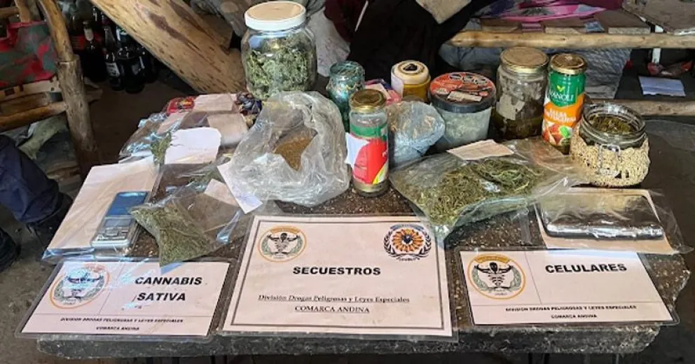 Encontraron  marihuana en distintos estados de procesamiento.