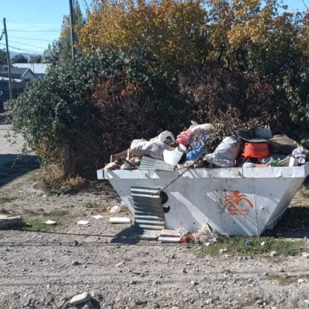 Se solicita a los vecinos no depositar residuos forestales. Foto: gentileza