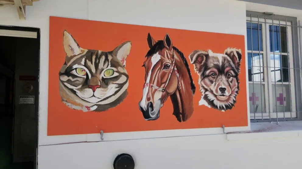 El mural artístico de Vale Aves (Valeska Baradit).