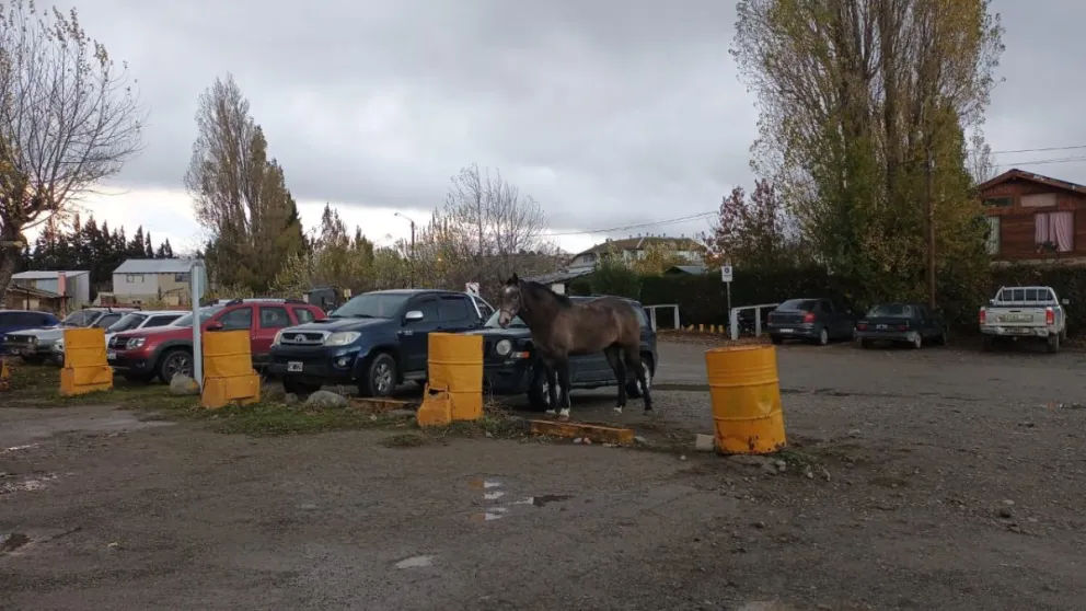 La preocupación de los vecinos de la zona. 