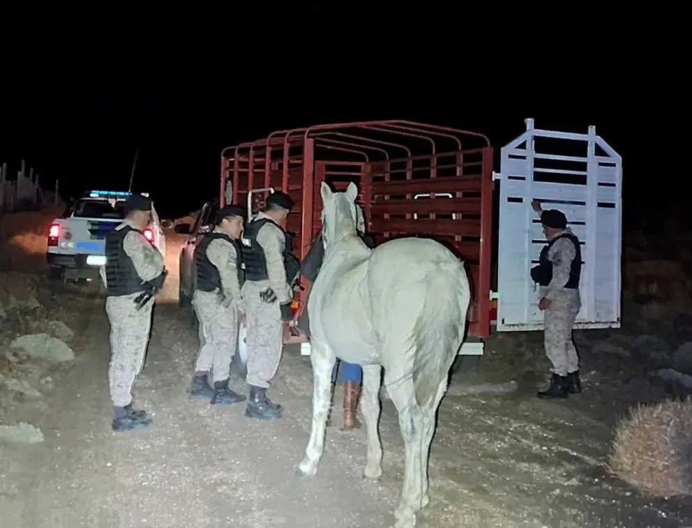 Un caso particular que tuvo final feliz. 