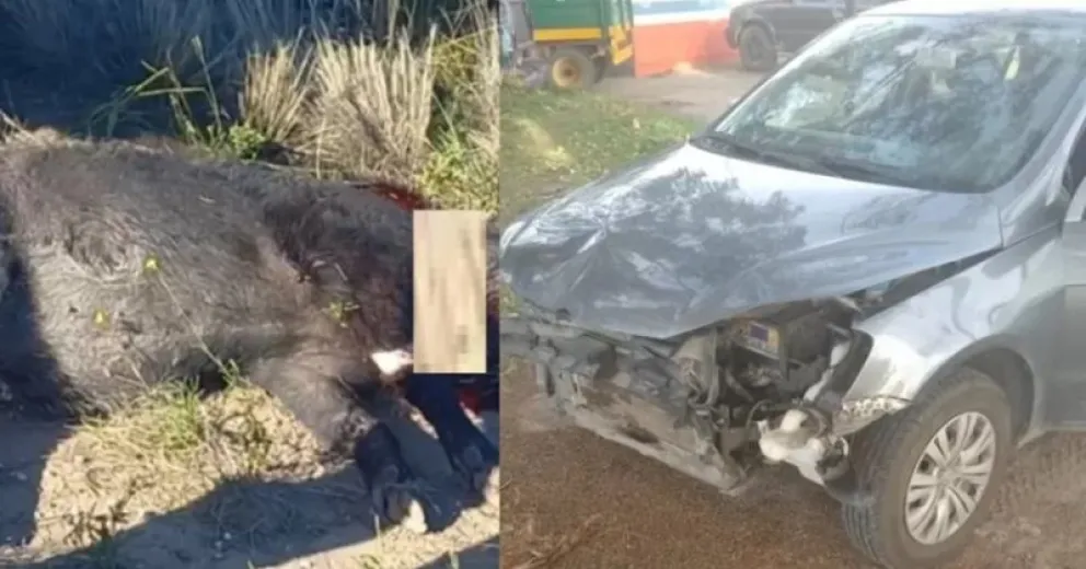 Podría haber sido mucho peor.