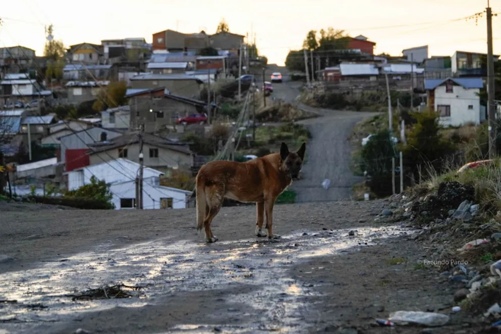 Un servicio indispensable para los vecinos de los barrios. Foto de Facundo Pardo.