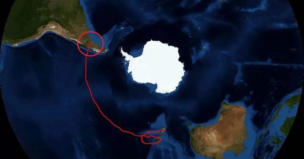Podría ser en Chubut pero dependerá del factor climático el lugar preciso.