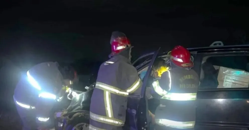 Otro accidente en ruta por presencia de animales sueltos.