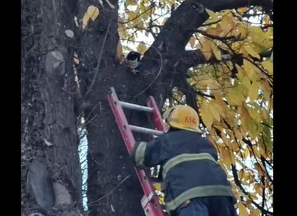 Una historia con final feliz. 