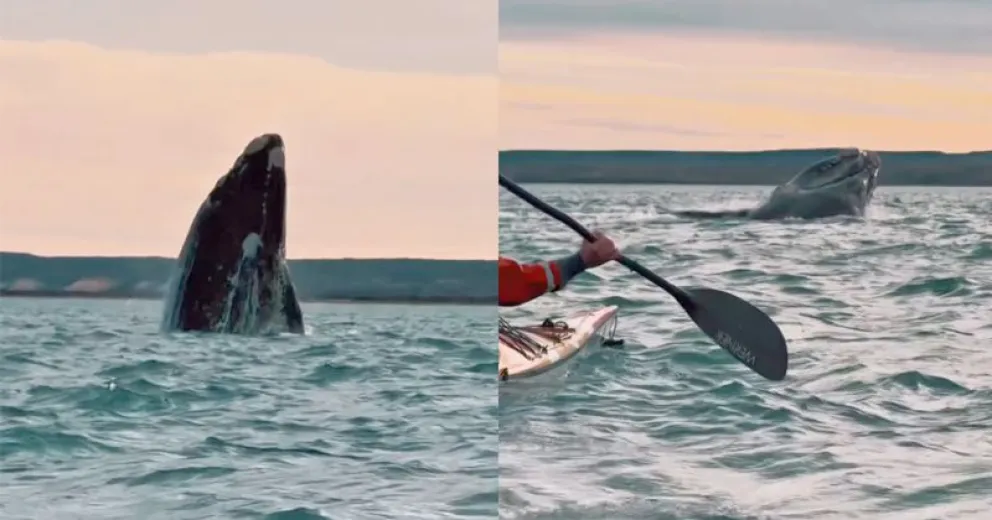 Una experiencia impensada.