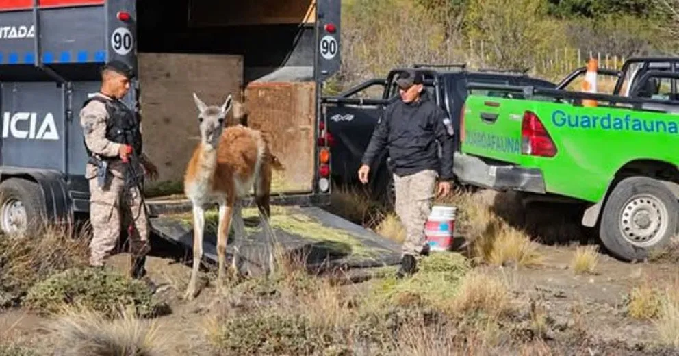 Misión cumplida. Foto: gentileza