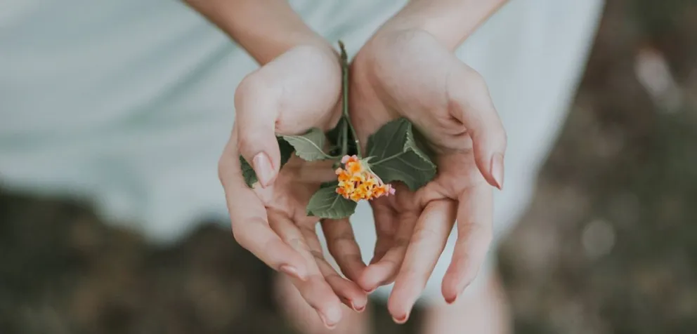 Un pedido de ayuda urgente. Foto: archivo