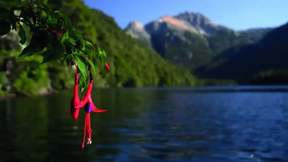 Foto: Gobierno de Río Negro.