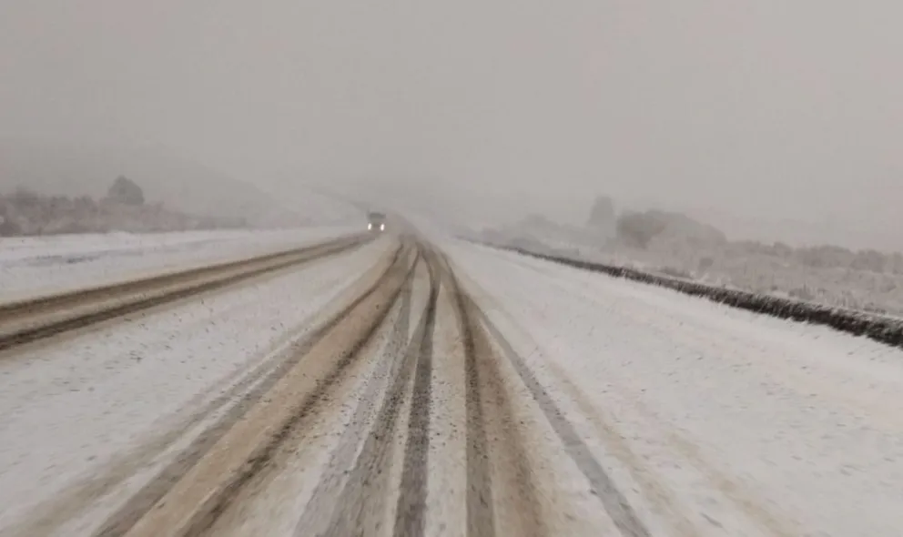 Atención conductores que circulen por la zona. 