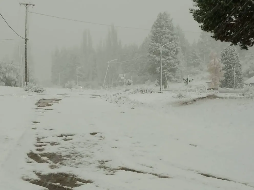 La nieve no cesa en distintos lugares de la región. 