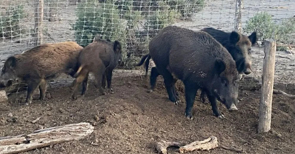 Es necesario estar atentos para evitar inconvenientes.