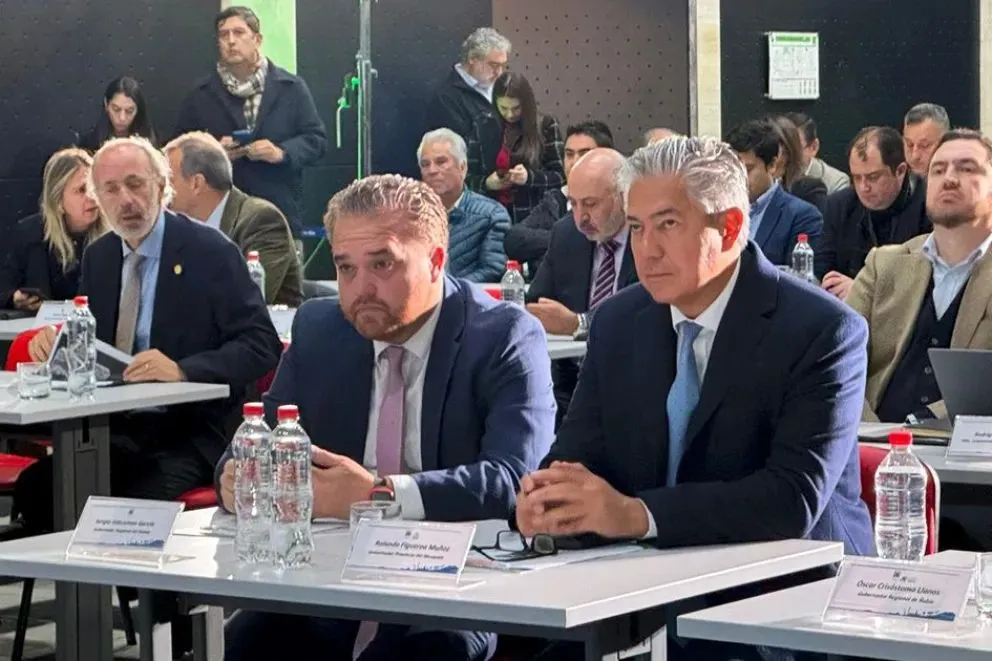 Foto: Secretaría de Prensa y Comunicación de Neuquén.