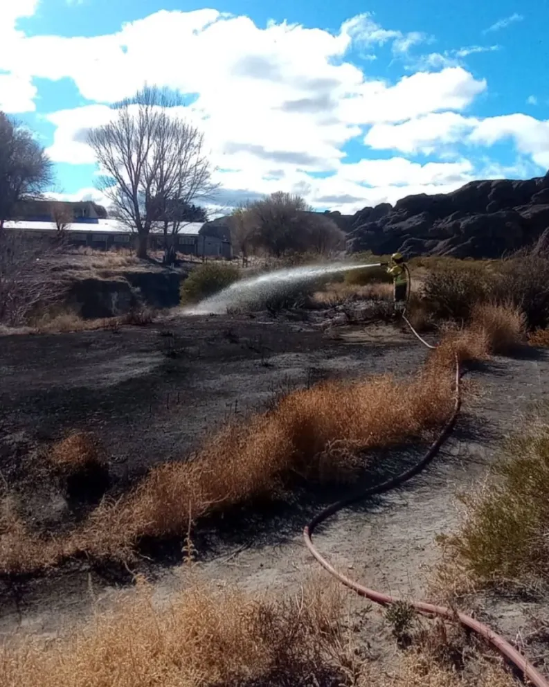 Susto por un incendio forestal en Piedra del Águila (foto: Bomberos Voluntarios P.A.) 