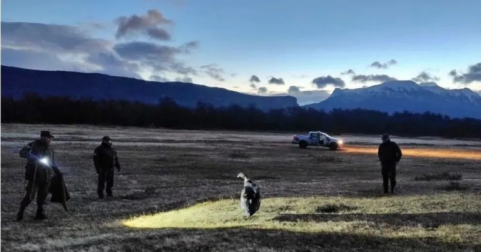 Se activó el protocolo de parques nacionales para la protección de especies. Foto: gentileza