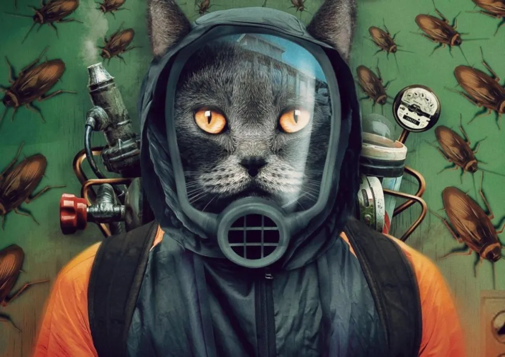 Un gatito muy especial... (imágenes gentileza).